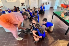 Museum-57